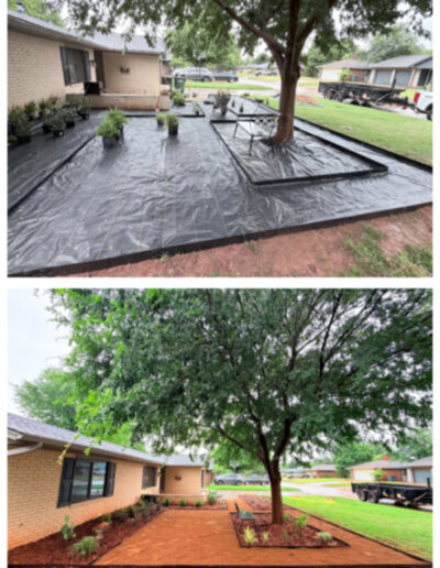 Before and After: A weed-barrier-covered planting area transformed into a finished mulched landscape bed with fresh plantings around a mature tree.